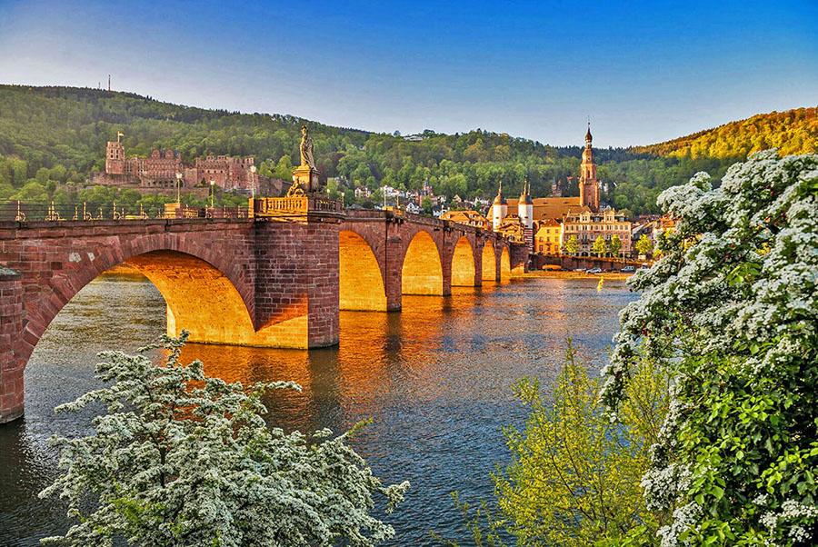 新春德法8日 |  1/25 出發