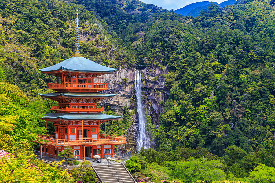 { 小龍迎新春 }  南紀秘境5日  |  01/27出發