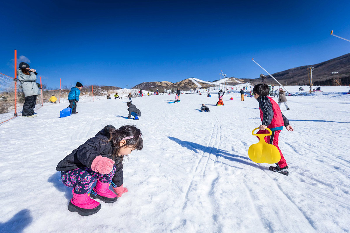 【新春賀歲】九州戲雪5日  |   02/19 出發