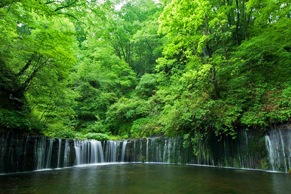 【避暑首選親子歡樂派】輕井澤×富士山河口湖5日