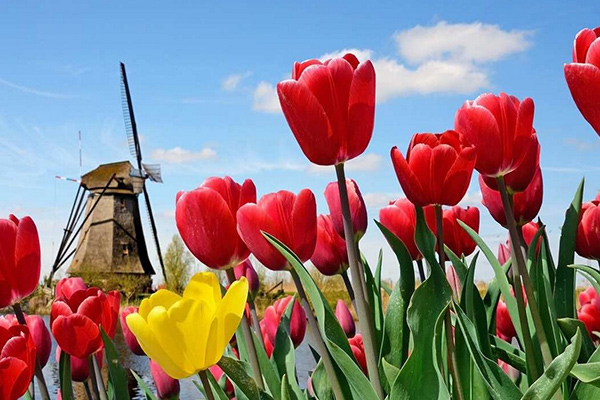 《魅力歐洲》荷德瑞法10日(花季)