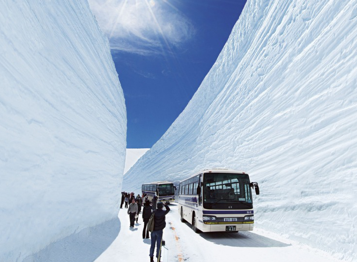黑部立山雪之大谷5日